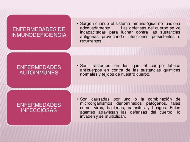 Sistema Linfatico