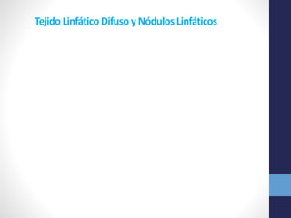 Tejido Linfático Difuso y Nódulos Linfáticos 
 