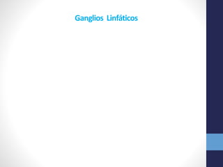 Ganglios Linfáticos 
 