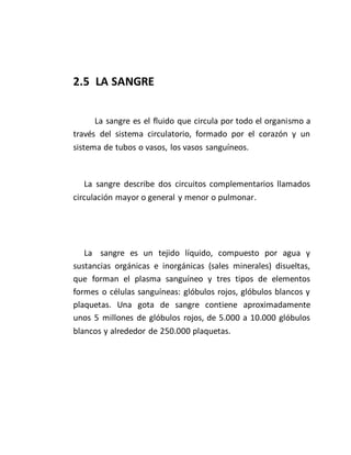 2.5 LA SANGRE
La sangre es el fluido que circula por todo el organismo a
través del sistema circulatorio, formado por el corazón y un
sistema de tubos o vasos, los vasos sanguíneos.
La sangre describe dos circuitos complementarios llamados
circulación mayor o general y menor o pulmonar.
La sangre es un tejido líquido, compuesto por agua y
sustancias orgánicas e inorgánicas (sales minerales) disueltas,
que forman el plasma sanguíneo y tres tipos de elementos
formes o células sanguíneas: glóbulos rojos, glóbulos blancos y
plaquetas. Una gota de sangre contiene aproximadamente
unos 5 millones de glóbulos rojos, de 5.000 a 10.000 glóbulos
blancos y alrededor de 250.000 plaquetas.
 