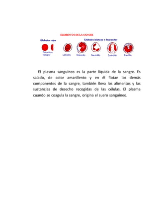 El plasma sanguíneo es la parte líquida de la sangre. Es
salado, de color amarillento y en él flotan los demás
componentes de la sangre, también lleva los alimentos y las
sustancias de desecho recogidas de las células. El plasma
cuando se coagula la sangre, origina el suero sanguíneo.
 