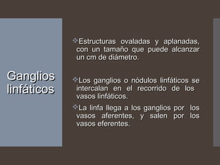 GangliosGanglios
linfáticoslinfáticos
Estructuras ovaladas y aplanadas,Estructuras ovaladas y aplanadas,
con un tamaño que puede alcanzarcon un tamaño que puede alcanzar
un cm de diámetro.un cm de diámetro.
Los ganglios o nódulos linfáticos seLos ganglios o nódulos linfáticos se
intercalan en el recorrido de losintercalan en el recorrido de los
vasos linfáticos.vasos linfáticos.
La linfa llega a los ganglios por losLa linfa llega a los ganglios por los
vasos aferentes, y salen por losvasos aferentes, y salen por los
vasos eferentes.vasos eferentes.
 