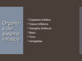 ÓrganoÓrgano
s dels del
sistemasistema
linfáticolinfático
Capilares linfático
Vasos linfáticos
Ganglios linfáticos
Bazo
Timo
Amígdalas
 