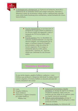  La hematopoyesis o hemopoyesis, es el proceso de formación, desarrollo y
maduración de los elementos formes de la sangre (eritrocitos, leucocitos y
plaquetas) a partir de un precursor celular común e indiferenciado conocido
como célula madre hematopoyética multipotente, unidad formadora de clones,
hemocitoblasto.
 Función transportadora: es necesaria para el
transporte de oxígeno desde los pulmones a
los diversos tejidos del organismo y para el
transporte de CO2 de los tejidos a los
pulmones.
 Función nutritiva: Una vez absorbidos los
nutrientes fundamentalmente a lo largo del
intestino delgado, son transportados por la
sangre, en primera instancia al hígado y
posteriormente a todas las células de
nuestro organismo. Por la sangre se
transportan glucosa, ácidos grasos,
aminoácidos, vitaminas, etc., hacia las
células que conforman los más diversos
tejidos.
Sistema linfático
Es una red de órganos, ganglios linfáticos, conductos y vasos
linfáticos que producen y transportan linfa desde los tejidos hasta el
torrente sanguíneo. El sistema linfático es una parte principal del
sistema inmunitario del cuerpo.
 Linfa.
 Ganglios linfáticos.
 Vasos linfáticos.
 Estructuras y órganos formados
por tejidos linfáticos.
Médula ósea
 Conservación de proteínas y líquido
plasmático: se encarga de regresar al sistema
circulatorio sustancias vitales como las
proteínas que han salido de los capilares junto
con líquido intersticial acumulado.
 Defensa contra enfermedades: protege al
cuerpo contra la invasión de patógenos y otras
sustancias extrañas.
Absorción de lípidos: Los linfocitos del
intestino absorben los lípidos alimenticios del
conducto digestivo.
 