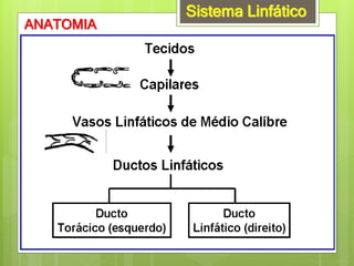 Sistema Linfático
ANATOMIA
 