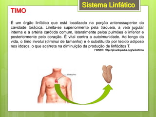 Sistema Linfático
TIMO
É um órgão linfático que está localizado na porção anterossuperior da
cavidade torácica. Limita-se superiormente pela traqueia, a veia jugular
interna e a artéria carótida comum, lateralmente pelos pulmões e inferior e
posteriormente pelo coração. É vital contra a autoimunidade. Ao longo da
vida, o timo involui (diminui de tamanho) e é substituído por tecido adiposo
nos idosos, o que acarreta na diminuição da produção de linfócitos T.
FONTE: http://pt.wikipedia.org/wiki/timo
 