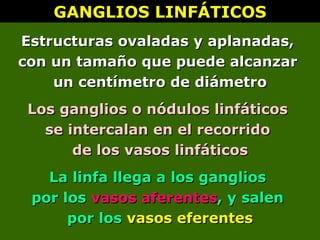 GANGLIOS LINFÁTICOS
GANGLIOS LINFÁTICOS
Estructuras ovaladas y aplanadas,
Estructuras ovaladas y aplanadas,
con un tamaño que puede alcanzar
con un tamaño que puede alcanzar
un centímetro de diámetro
un centímetro de diámetro
Los ganglios o nódulos linfáticos
Los ganglios o nódulos linfáticos
se intercalan en el recorrido
se intercalan en el recorrido
de los vasos linfáticos
de los vasos linfáticos
La linfa llega a los ganglios
La linfa llega a los ganglios
por los
por los vasos aferentes
vasos aferentes, y salen
, y salen
por los
por los vasos eferentes
vasos eferentes
 