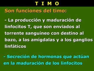 T I M O
T I M O
-
- La producción y maduración de
La producción y maduración de
linfocitos T, que son enviados al
linfocitos T, que son enviados al
torrente sanguíneo con destino al
torrente sanguíneo con destino al
bazo, a las amígdalas y a los ganglios
bazo, a las amígdalas y a los ganglios
linfáticos
linfáticos
-
- Secreción de hormonas que actúan
Secreción de hormonas que actúan
en la maduración de los linfocitos
en la maduración de los linfocitos
Son funciones del timo:
Son funciones del timo:
 