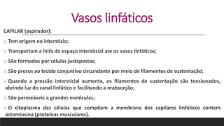 Vasos linfáticos
CAPILAR (aspirador):
o Tem origem no interstício;
o Transportam a linfa do espaço intersticial ate os vasos linfáticos;
o São formados por células justapostas;
o São presos ao tecido conjuntivo circundante por meio de filamentos de sustentação;
o Quando a pressão intersticial aumenta, os filamentos de sustentação são tensionados,
abrindo luz do canal linfático e facilitando a reabsorção;
o São permeáveis a grandes moléculas;
o O citoplasma das células que compõem a membrana dos capilares linfáticos contem
actomiosina (proteínas musculares).
 