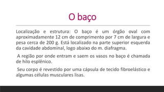O baço
Localização e estrutura: O baço é um órgão oval com
aproximadamente 12 cm de comprimento por 7 cm de largura e
pesa cerca de 200 g. Está localizado na parte superior esquerda
da cavidade abdominal, logo abaixo do m. diafragma.
A região por onde entram e saem os vasos no baço é chamada
de hilo esplênico.
Seu corpo é revestido por uma cápsula de tecido fibroelástico e
algumas células musculares lisas.
 
