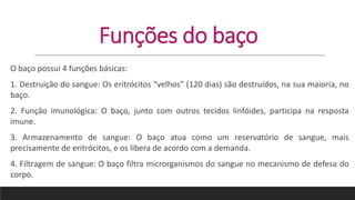 Funções do baço
O baço possui 4 funções básicas:
1. Destruição do sangue: Os eritrócitos “velhos” (120 dias) são destruídos, na sua maioria, no
baço.
2. Função imunológica: O baço, junto com outros tecidos linfóides, participa na resposta
imune.
3. Armazenamento de sangue: O baço atua como um reservatório de sangue, mais
precisamente de eritrócitos, e os libera de acordo com a demanda.
4. Filtragem de sangue: O baço filtra microrganismos do sangue no mecanismo de defesa do
corpo.
 