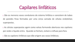 Capilares linfáticos
o São os menores vasos condutores do sistema linfático e consistem de tubos
de paredes finas formadas por uma única camada de células endoteliais
superpostas.
o As células superpostas agem como valvas formando aberturas nos capilares
por onde o líquido entra. Quando se fecham, evitam o refluxo para fora.
o São os capilares linfáticos que dão origem aos vasos linfáticos.
 