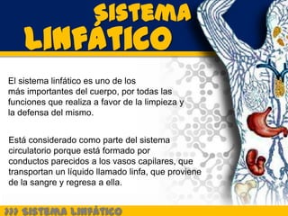 Sistema
    Linfático
El sistema linfático es uno de los
más importantes del cuerpo, por todas las
funciones que realiza a favor de la limpieza y
la defensa del mismo.


Está considerado como parte del sistema
circulatorio porque está formado por
conductos parecidos a los vasos capilares, que
transportan un líquido llamado linfa, que proviene
de la sangre y regresa a ella.


>>> Sistema Linfático
 