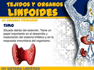 Tejidos y Organos
    Linfoides
>>> Organos Primarios
 Timo
 Situado detrás del esternón. Tiene un
 papel importante en el desarrollo y
 maduración del sistema linfático y en la
 respuesta inmunitaria del organismo.




>>> Sistema Linfático
 