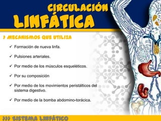 Circulación
    Linfática
> Mecanismos que utiliza
   Formación de nueva linfa.

   Pulsiones arteriales.

   Por medio de los músculos esqueléticos.

   Por su composición

   Por medio de los movimientos peristálticos del
    sistema digestivo.

   Por medio de la bomba abdomino-torácica.



>>> Sistema Linfático
 