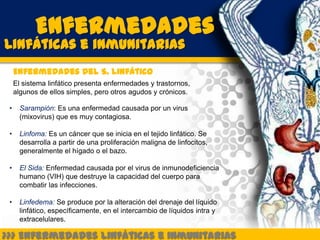 Enfermedades
Linfáticas e inmunitarias
     Enfermedades del S. Linfático
     El sistema linfático presenta enfermedades y trastornos,
     algunos de ellos simples, pero otros agudos y crónicos.

 •     Sarampión: Es una enfermedad causada por un virus
       (mixovirus) que es muy contagiosa.

 •     Linfoma: Es un cáncer que se inicia en el tejido linfático. Se
       desarrolla a partir de una proliferación maligna de linfocitos,
       generalmente el hígado o el bazo.

 •     El Sida: Enfermedad causada por el virus de inmunodeficiencia
       humano (VIH) que destruye la capacidad del cuerpo para
       combatir las infecciones.

 •     Linfedema: Se produce por la alteración del drenaje del líquido
       linfático, específicamente, en el intercambio de líquidos intra y
       extracelulares.

>>> Enfermedades Linfáticas e Inmunitarias
 