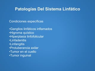 Patologías Del Sistema Linfático
Condiciones específicas
•Ganglios linfáticos inflamados
•Higroma quístico
•Hiperplasia linfofolicular
•Linfadenitis
•Linfangitis
•Protuberancia axilar
•Tumor en el cuello
•Tumor inguinal
 