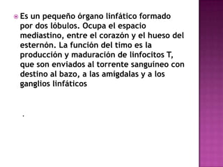  Esun pequeño órgano linfático formado
 por dos lóbulos. Ocupa el espacio
 mediastino, entre el corazón y el hueso del
 esternón. La función del timo es la
 producción y maduración de linfocitos T,
 que son enviados al torrente sanguíneo con
 destino al bazo, a las amígdalas y a los
 ganglios linfáticos


  .
 