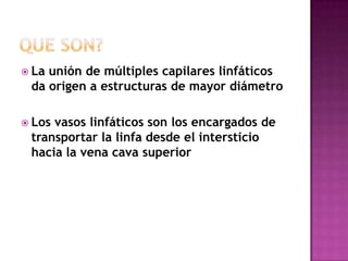  Launión de múltiples capilares linfáticos
 da origen a estructuras de mayor diámetro

 Losvasos linfáticos son los encargados de
 transportar la linfa desde el intersticio
 hacia la vena cava superior
 