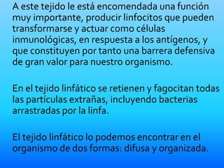 A este tejido le está encomendada una función
muy importante, producir linfocitos que pueden
transformarse y actuar como células
inmunológicas, en respuesta a los antígenos, y
que constituyen por tanto una barrera defensiva
de gran valor para nuestro organismo.
En el tejido linfático se retienen y fagocitan todas
las partículas extrañas, incluyendo bacterias
arrastradas por la linfa.
El tejido linfático lo podemos encontrar en el
organismo de dos formas: difusa y organizada.
 