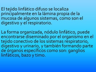 El tejido linfático difuso se localiza
principalmente en la lámina propia de la
mucosa de algunos sistemas, como son el
digestivo y el respiratorio.
La forma organizada, nódulo linfático, puede
encontrarse diseminado por el organismo en el
tejido conectivo de los sistemas respiratorio,
digestivo y urinario, y también formando parte
de órganos específicos como son: ganglios
linfáticos, bazo y timo.
 