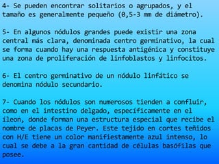 4- Se pueden encontrar solitarios o agrupados, y el
tamaño es generalmente pequeño (0,5-3 mm de diámetro).
5- En algunos nódulos grandes puede existir una zona
central más clara, denominada centro germinativo, la cual
se forma cuando hay una respuesta antigénica y constituye
una zona de proliferación de linfoblastos y linfocitos.
6- El centro germinativo de un nódulo linfático se
denomina nódulo secundario.
7- Cuando los nódulos son numerosos tienden a confluir,
como en el intestino delgado, específicamente en el
íleon, donde forman una estructura especial que recibe el
nombre de placas de Peyer. Este tejido en cortes teñidos
con H/E tiene un color manifiestamente azul intenso, lo
cual se debe a la gran cantidad de células basófilas que
posee.
 