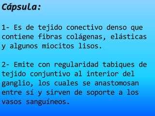 Cápsula:
1- Es de tejido conectivo denso que
contiene fibras colágenas, elásticas
y algunos miocitos lisos.
2- Emite con regularidad tabiques de
tejido conjuntivo al interior del
ganglio, los cuales se anastomosan
entre sí y sirven de soporte a los
vasos sanguíneos.
 