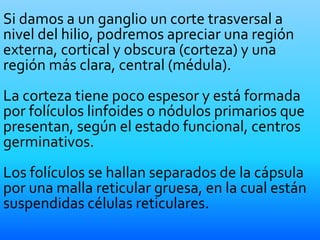 Si damos a un ganglio un corte trasversal a
nivel del hilio, podremos apreciar una región
externa, cortical y obscura (corteza) y una
región más clara, central (médula).
La corteza tiene poco espesor y está formada
por folículos linfoides o nódulos primarios que
presentan, según el estado funcional, centros
germinativos.
Los folículos se hallan separados de la cápsula
por una malla reticular gruesa, en la cual están
suspendidas células reticulares.
 