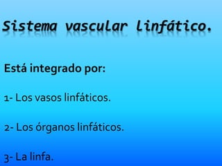 Está integrado por:
1- Los vasos linfáticos.
2- Los órganos linfáticos.
3- La linfa.
Sistema vascular linfático.
 