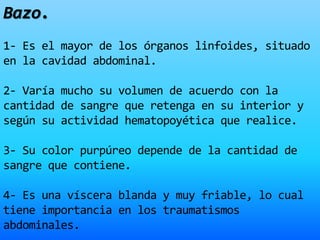 Bazo.
1- Es el mayor de los órganos linfoides, situado
en la cavidad abdominal.
2- Varía mucho su volumen de acuerdo con la
cantidad de sangre que retenga en su interior y
según su actividad hematopoyética que realice.
3- Su color purpúreo depende de la cantidad de
sangre que contiene.
4- Es una víscera blanda y muy friable, lo cual
tiene importancia en los traumatismos
abdominales.
 