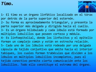 Timo.
1- El timo es un órgano linfático localizado en el tórax
por detrás de la parte superior del esternón.
2- Su forma es aproximadamente triangular, y presenta la
parte superior más delgada y dirigida hacia el cuello.
3- Es un órgano bilobulado y cada lóbulo está formado por
múltiples lobulillos que poseen corteza y médula.
4- Es linfoepitelial, donde los linfocitos y el epitelio
forman un complejo común y están en estrecha relación.
5- Cada uno de los lóbulos está rodeado por una delgada
cápsula de tejido conjuntivo que emite hacia el interior
tabiques, los cuales forman trabéculas que dividen a los
lóbulos en múltiples lobulillos incompletos, pues el
tejido conectivo permite cierta comunicación ente los
lobulillos. Todo ello constituye el estroma del órgano.
 