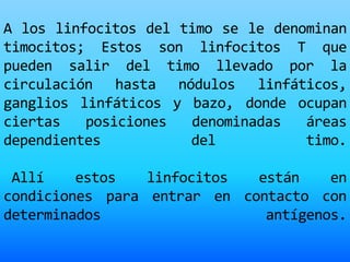 A los linfocitos del timo se le denominan
timocitos; Estos son linfocitos T que
pueden salir del timo llevado por la
circulación hasta nódulos linfáticos,
ganglios linfáticos y bazo, donde ocupan
ciertas posiciones denominadas áreas
dependientes del timo.
Allí estos linfocitos están en
condiciones para entrar en contacto con
determinados antígenos.
 