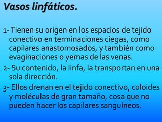Vasos linfáticos.
1-Tienen su origen en los espacios de tejido
conectivo en terminaciones ciegas, como
capilares anastomosados, y también como
evaginaciones o yemas de las venas.
2- Su contenido, la linfa, la transportan en una
sola dirección.
3- Ellos drenan en el tejido conectivo, coloides
y moléculas de gran tamaño, cosa que no
pueden hacer los capilares sanguíneos.
 