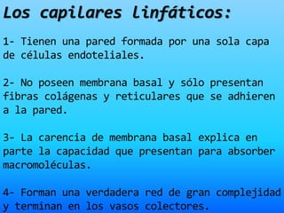 Los capilares linfáticos:
1- Tienen una pared formada por una sola capa
de células endoteliales.
2- No poseen membrana basal y sólo presentan
fibras colágenas y reticulares que se adhieren
a la pared.
3- La carencia de membrana basal explica en
parte la capacidad que presentan para absorber
macromoléculas.
4- Forman una verdadera red de gran complejidad
y terminan en los vasos colectores.
 