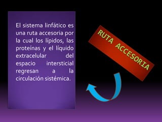 Anillo Ganglionar PericraneocervicalGanglios OccipitalesGanglios MastoideosGanglios ParotídeosGanglios SubmandibularesGanglios SubmentonianosGanglios RetrofaringeosGanglios Yugulodigástricos7 GRUPOSLINFOGANGLIONARES