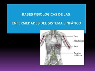 Ganglios Occipitales Se disponen en tres grupos: