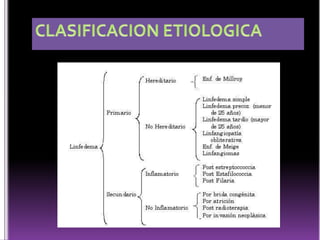  Drenan la región parietal, el CAE y el pabellón auricularGanglios Parotídeos Se distinguen en dos grupos: