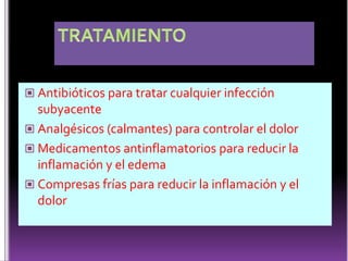 Ganglios Cervicales Laterales Ganglios Superficiales: ganglios de la vena yugular externa. Drenan el pabellón auricular y la parte inferior de la glándula tiroides.