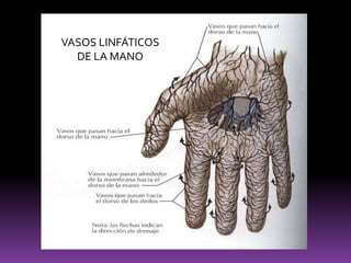 Bajas concentraciones de oxígeno
