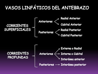 Sustancias de desechos celularesFORMACIÓN DE LA LINFA: Se forma cuando el liquido con nutrientes que abandona los capilares sanguíneos para llegar a las células es excesivo.