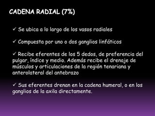 Túnica adventicia		: Células de músculo liso.A excepción que poseen paredes más delgadas y numerosas válvulas, por lo que suele tener el aspecto de un collar de cuentas que evitan el retroceso de la linfa, dándole un aspecto abultado. CIRCULACIÓN LINFÁTICA :  A) paredes de la válvula se contraen  B) comprensión externa