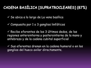 Secundarios o periféricos: Se presentan los antígenos y se monta la respuesta inmune específica (ganglios linfáticos, bazo, MALT [tejido linfoide asociado a mucosas])III. ÓRGANOS LINFÁTICOS A) GANCLIOS LINFÁTICOSLa principal función de los ganglios linfáticos es la producción y maduración de linfocitos para la formación de anticuerpos.