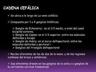 B) TIMOLa principal función del timo es la producción y maduración de linfocitos T.