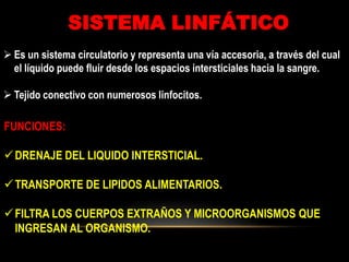 SISTEMA LINFÁTICO