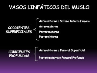  Recibe eferentes de los 5 dedos, de preferencia del anular y meñique. Además recibe el drenaje de músculos y articulaciones de la región hipotenar y anteromedial del antebrazoCADENA INTERÓSEA ANTERIOR (2%) Se extiende desde el extremo distal de los vasos interóseos anteriores hasta su intersección con los vasos cubitales.