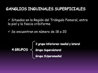  Su único eferente drena en la cadena humeral o raramente en los ganglios del hueco axilarCADENA INTERÓSEA POSTERIOR (1%) Se ubica en el tercio superior del antebrazo, en relación con los vasos interóseos posteriores.