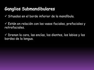  Compuesta por 1 o 4 ganglios linfáticos