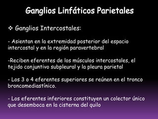 GANGLIOS LINFÁTICOS AXILARESGrupo Ganglionar BraquialGrupo Ganglionar SubescapularGrupo Ganglionar PectoralGrupo Ganglionar CentralGrupo Ganglionar Apical