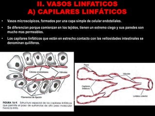 Bases fisiológicas de las principales enfermedades del sistema linfático.