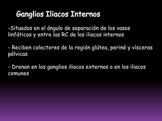  Drena hacia los ganglios poplíteosCADENA TIBIAL POSTERIOR Se ubica en el tercio superior de la pierna, junto a los vasos tibiales posteriores